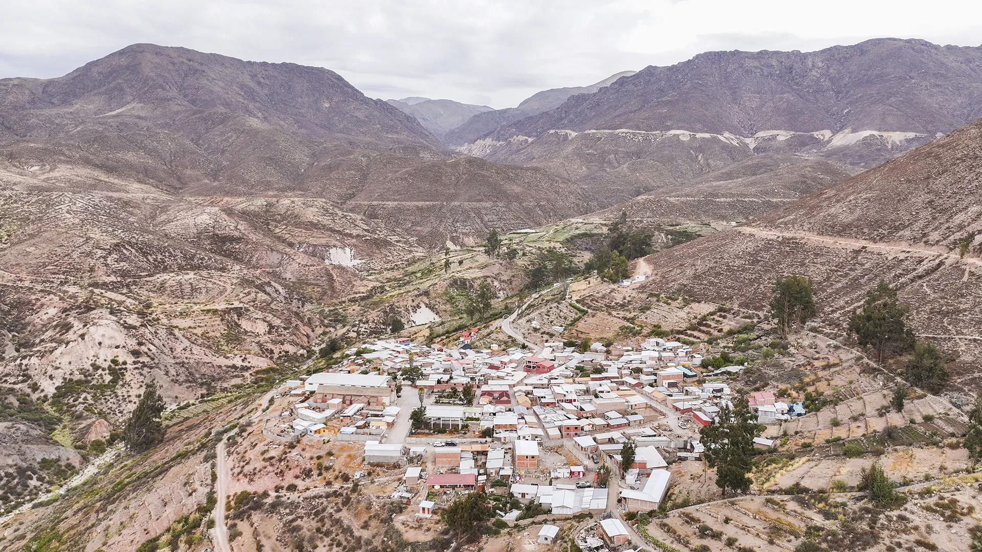 Full-day excursion Arica, Socoroma & Putre
