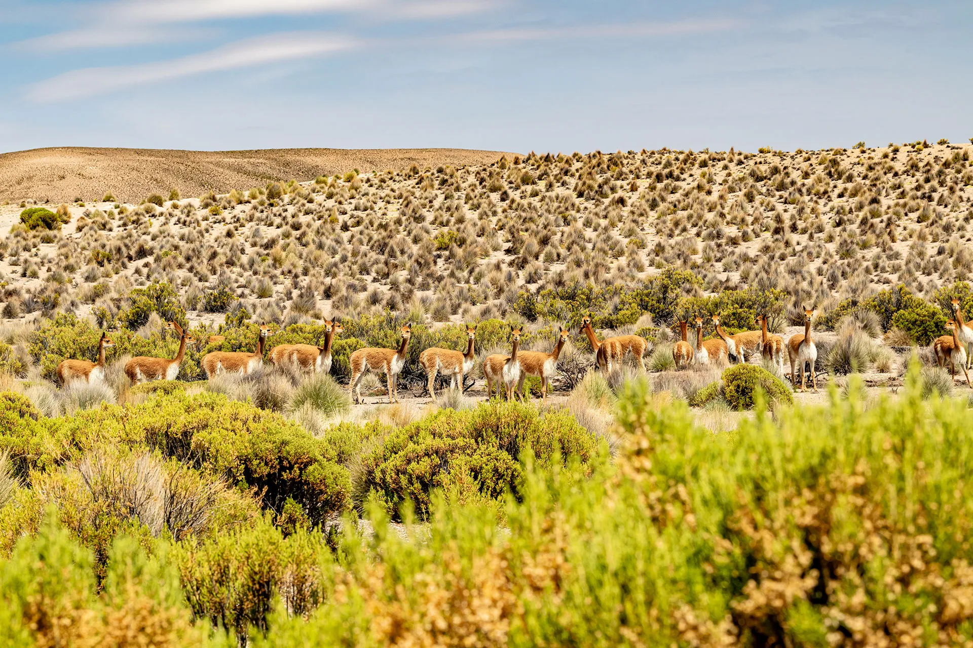Full-day excursion to Aymara and Tignamar villages