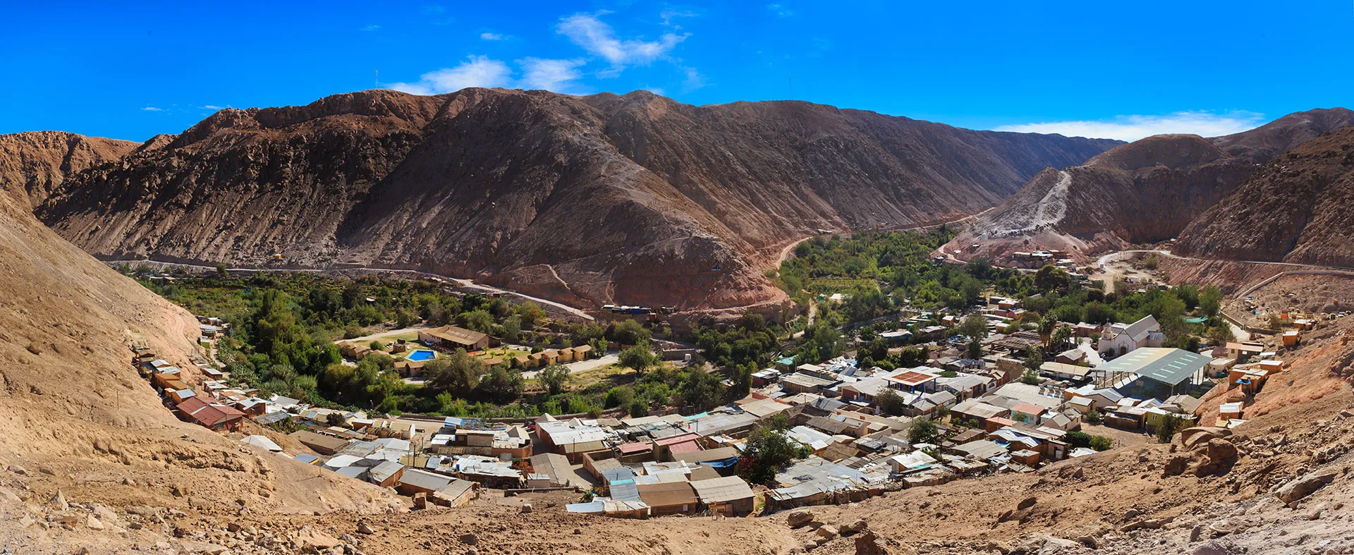 Full-day excursion to Codpa oasis
