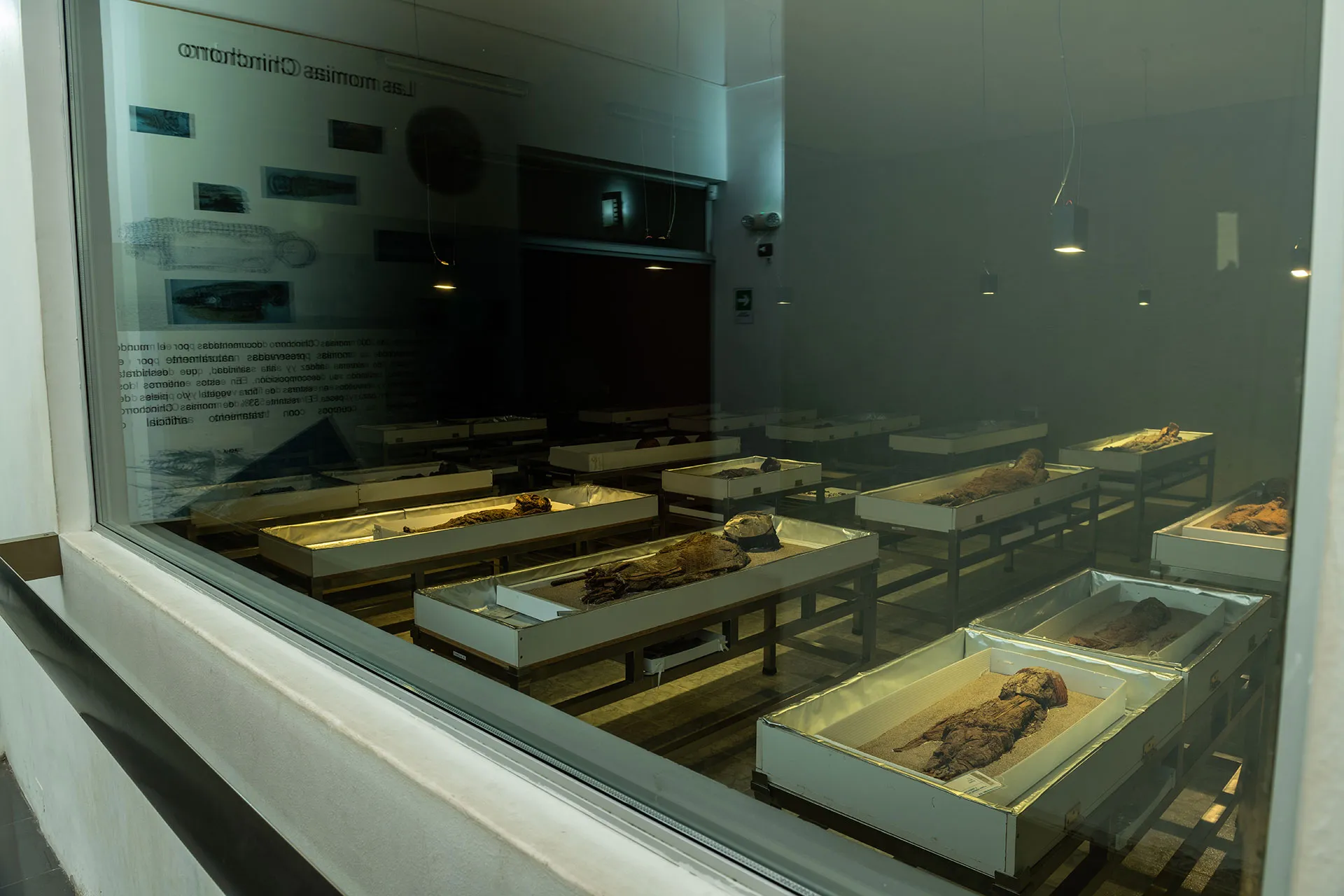 Half-day excursion city tour Arica & Azapa museum